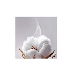 Best Luxury Sateen Bedding Set