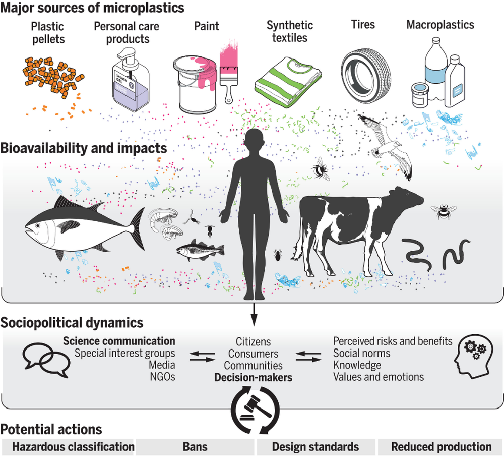 Microplastics are rapidly invading brains, and researchers describe it as "chilling."