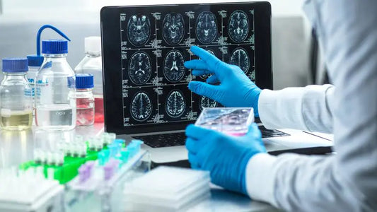 How does the brain clean up waste?